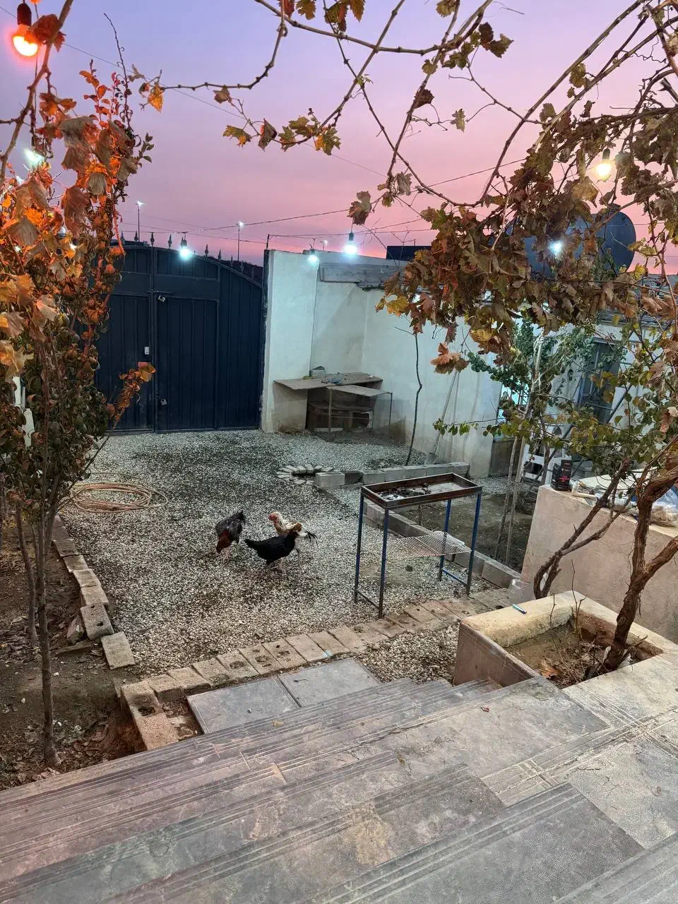 اجاره ویلا روزانه|اجارهٔ کوتاه‌مدت ویلا و باغ|بومهن, |دیوار