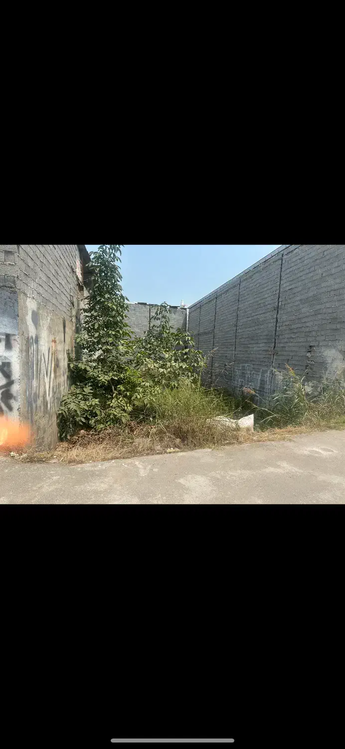 زمین خالی|اجارهٔ دفتر صنعتی، کشاورزی، تجاری|بابل, |دیوار