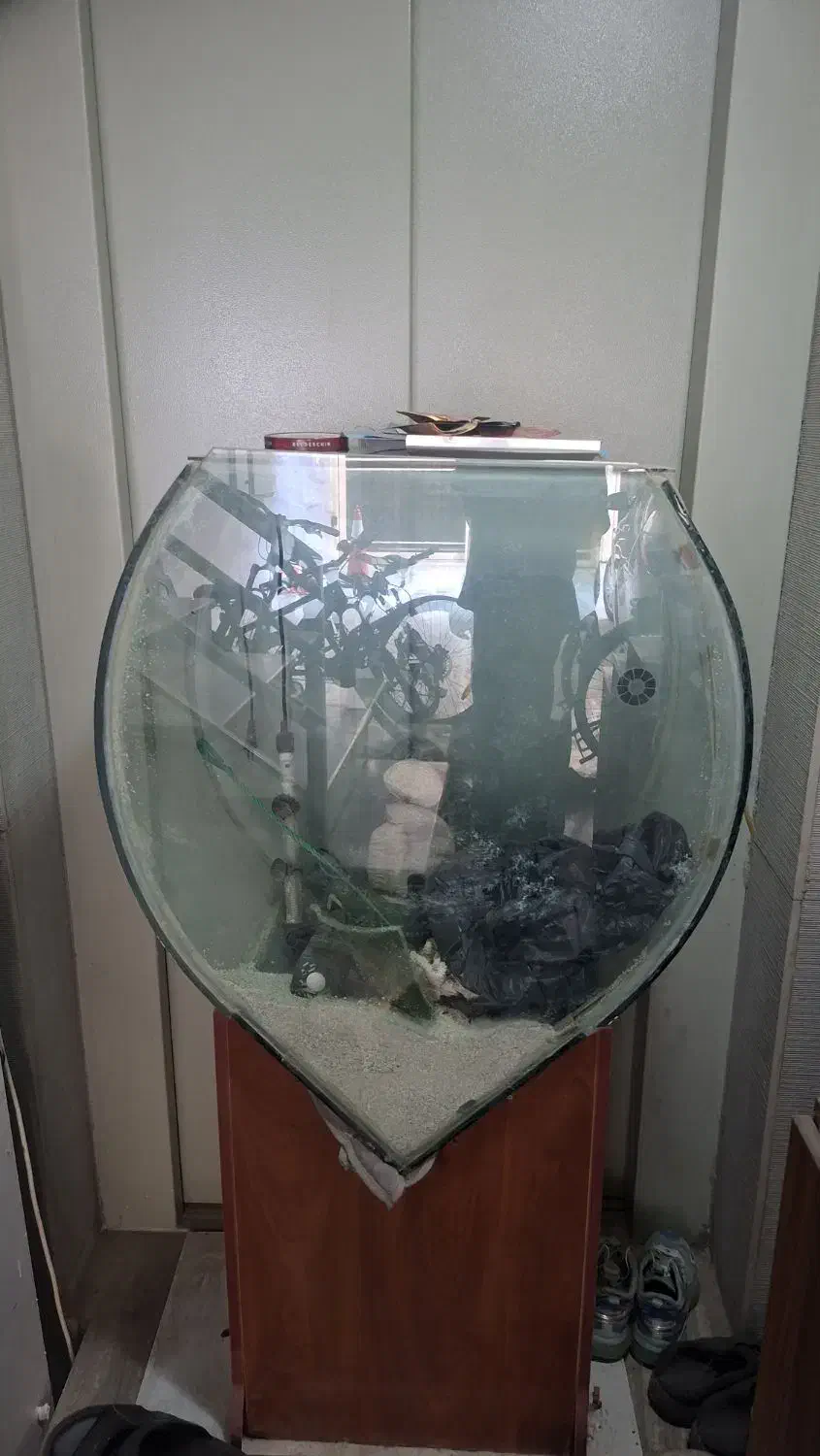 آکواریوم|ماهی|اصفهان, خواجو|دیوار