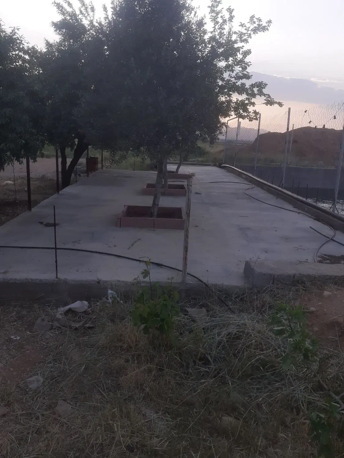 ۱۰هکتار باغی وکشاورزی فروش فوری تا پایان هفته|فروش دفتر صنعتی، کشاورزی، تجاری|شیراز, داریون|دیوار