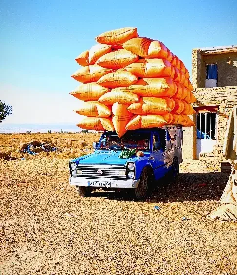 کیمیا بار|خدمات حمل و نقل|قیدار, |دیوار