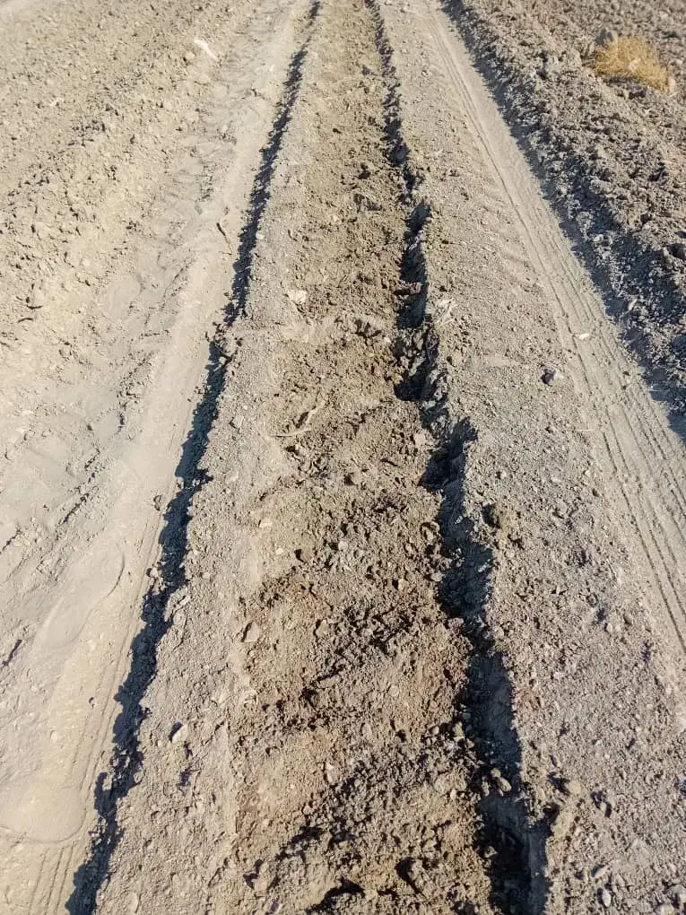 نیازمندکارگر برای اماده سازی زمین کشت گوجه|استخدام صنعتی، فنی، مهندسی|کهنوج, |دیوار