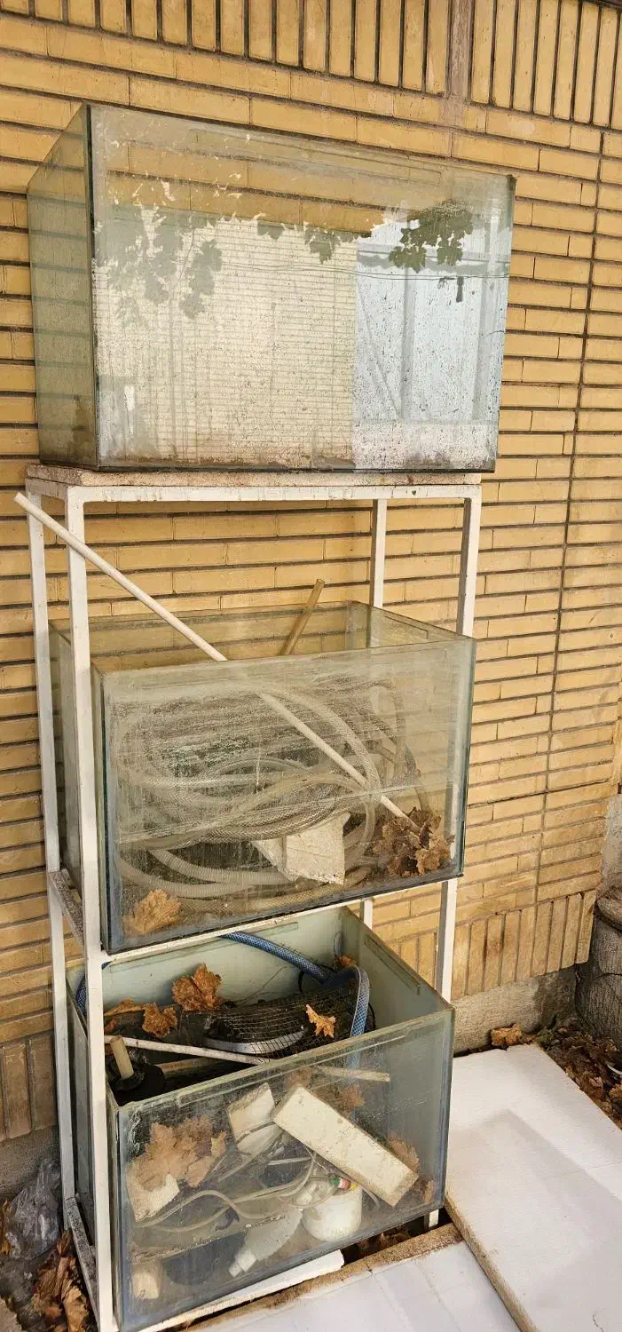 آکواریوم قیمت توافقی|ماهی|اصفهان, مولوی|دیوار