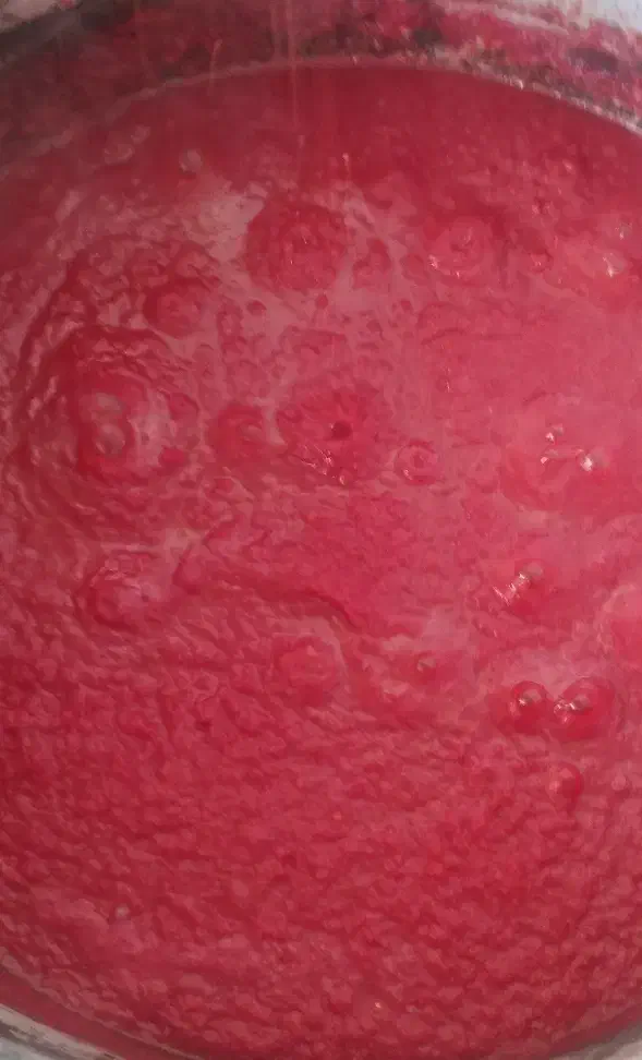 رب گوجه خانگی کیلویی ۹۵|خوردنی و آشامیدنی|اندیمشک, |دیوار