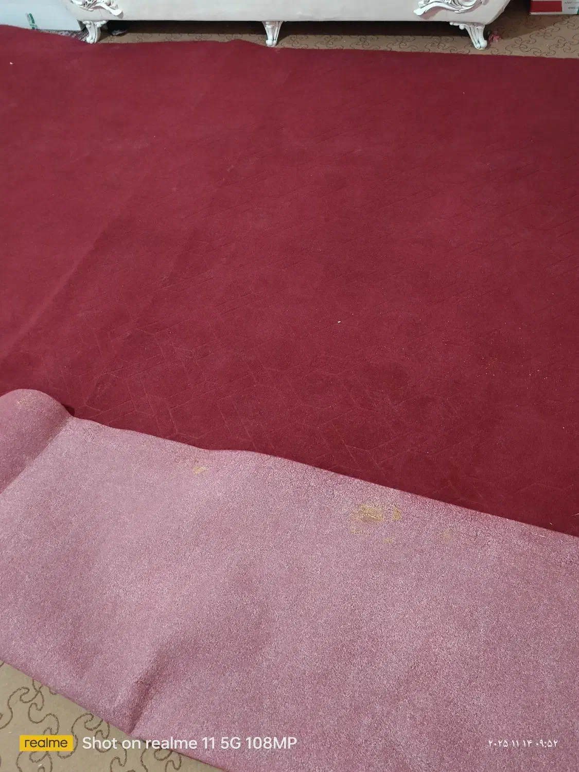 موکت|موکت|زاهدان, |دیوار