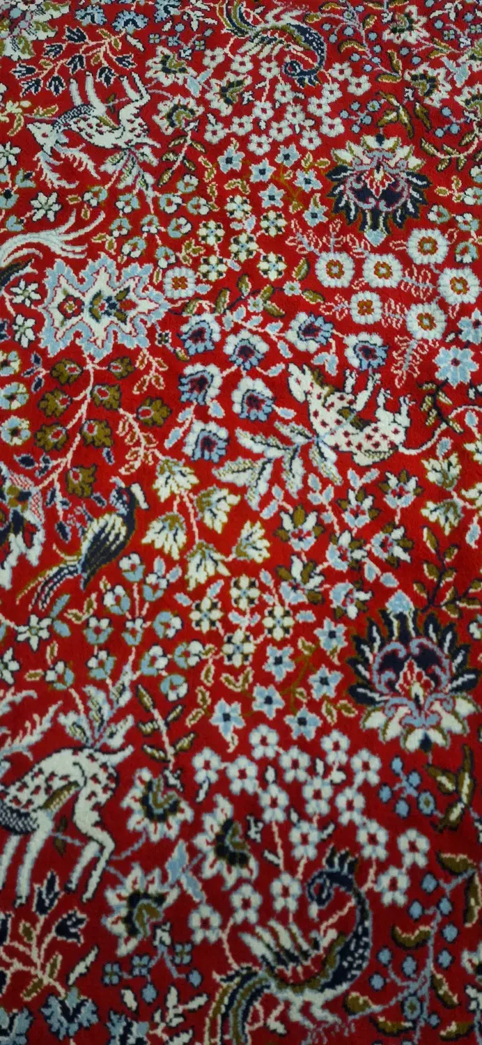 فرش کاشان ۱۲ متری ضخیم سالم|فرش|گرگان, |دیوار