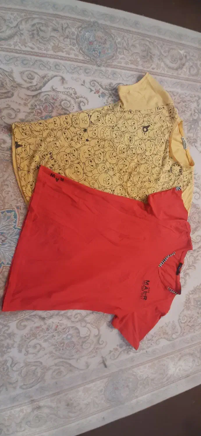 دو عدد تیشرت دخترونه|لباس|فیروزآباد (فارس), |دیوار