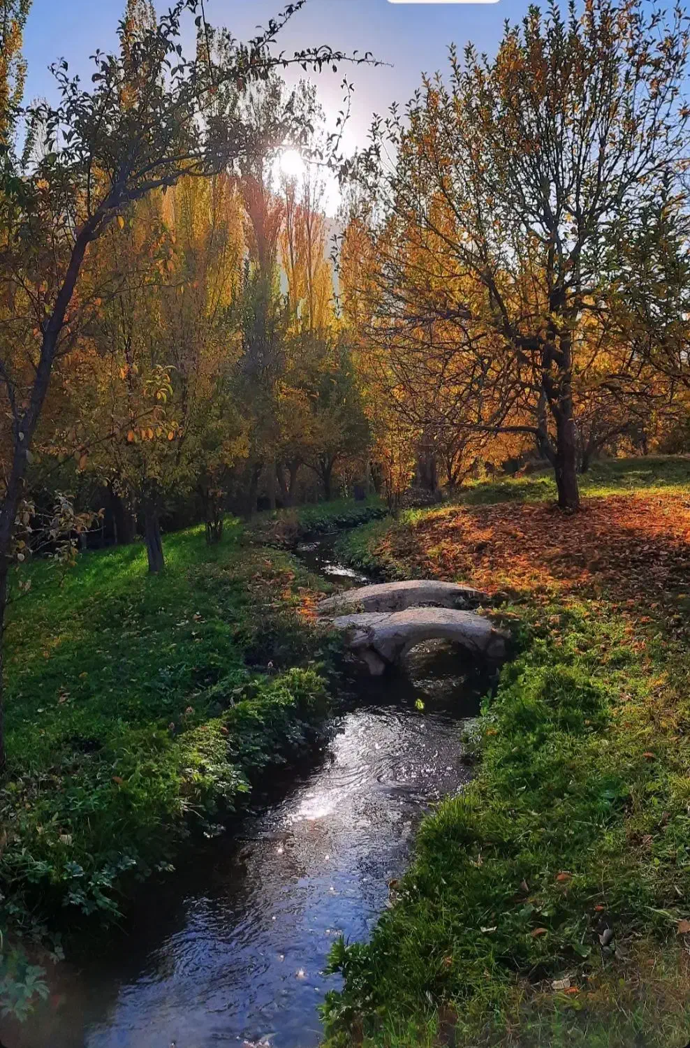 خانه روستای دربخش نختالو روستای حیدرباغی|فروش خانه و ویلا|نختالو, |دیوار