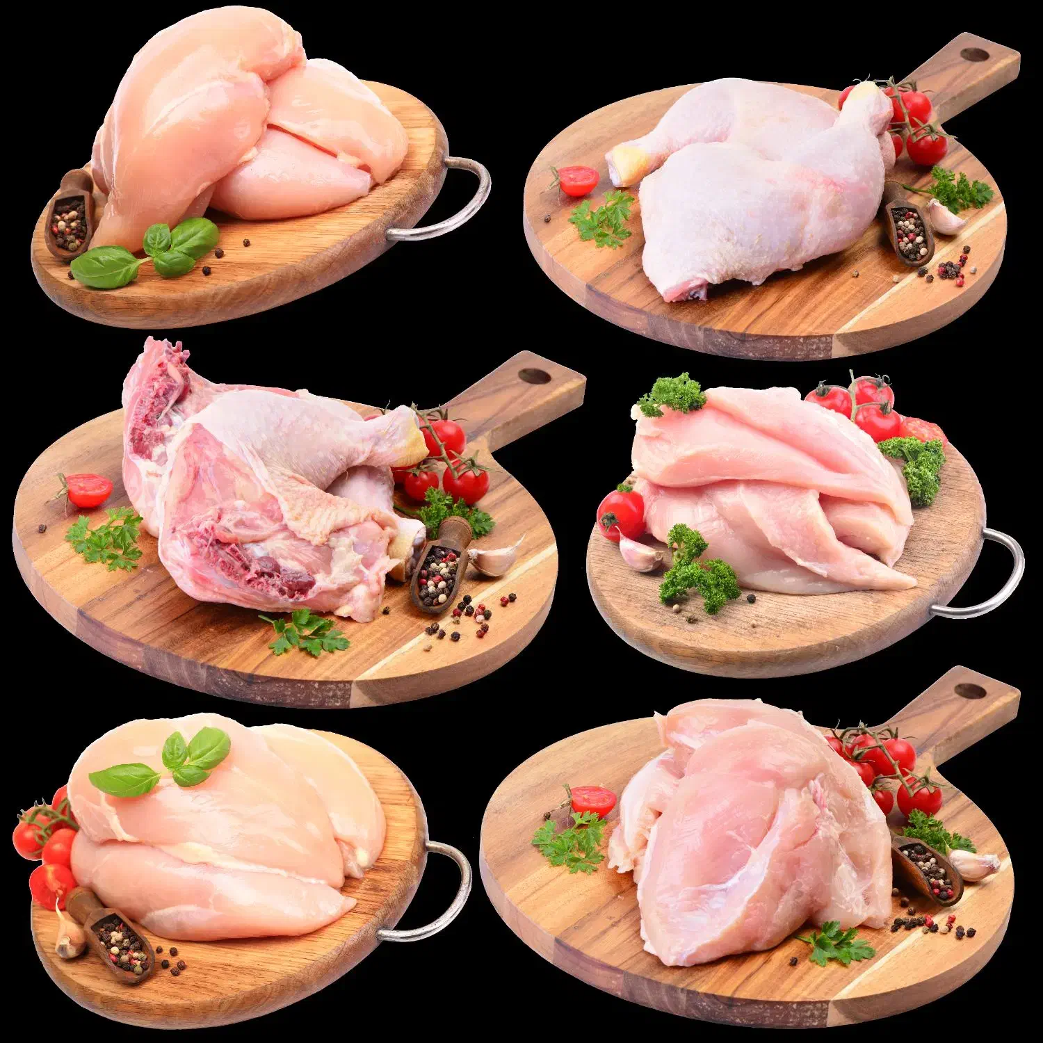 فروشگاه گوشت مرغ و بوقلمون تازه قم|خوردنی و آشامیدنی|قم, باجک دو|دیوار