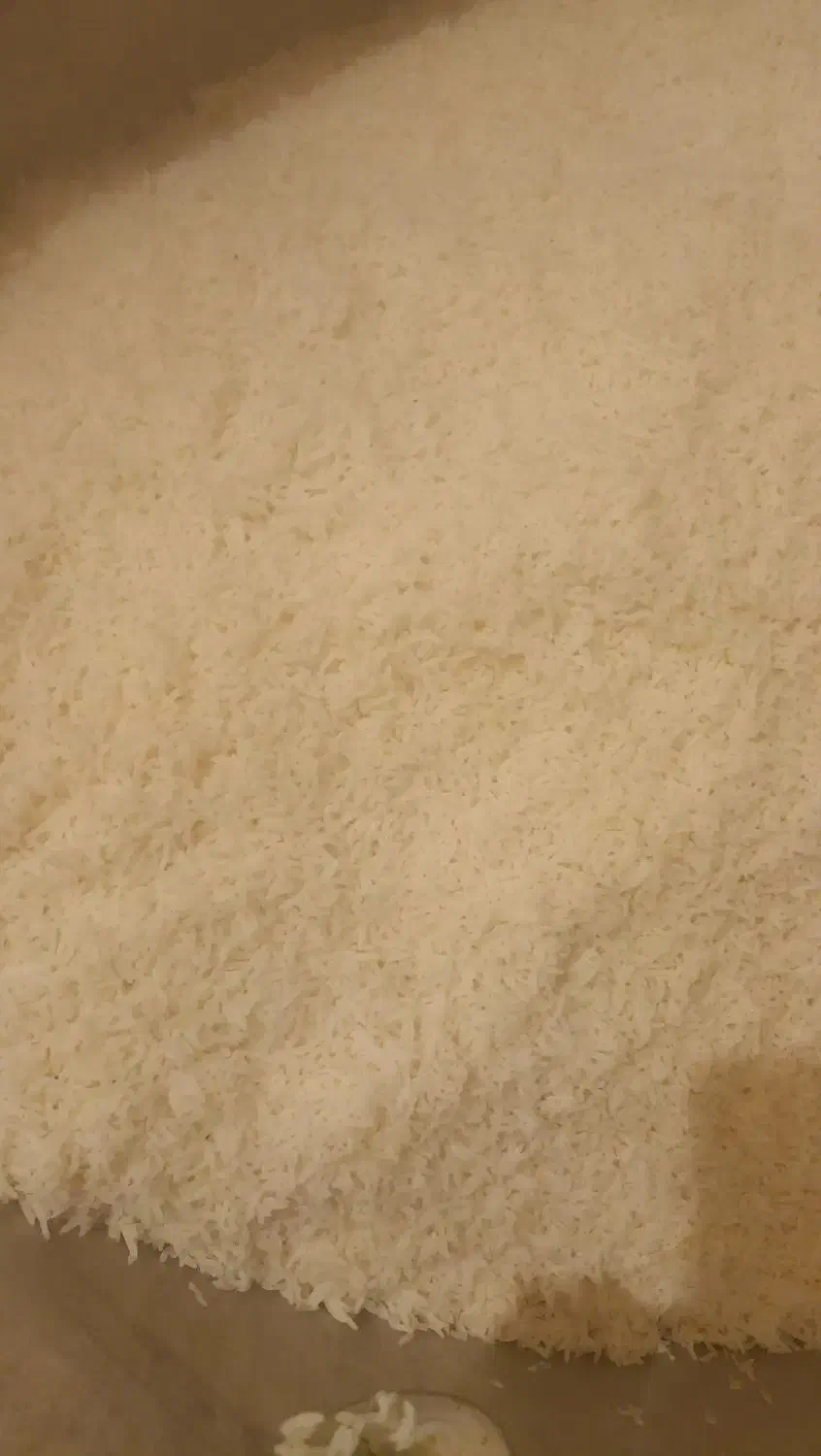 آشپزی مجالس|خدمات پذیرایی، مراسم|زابل, |دیوار