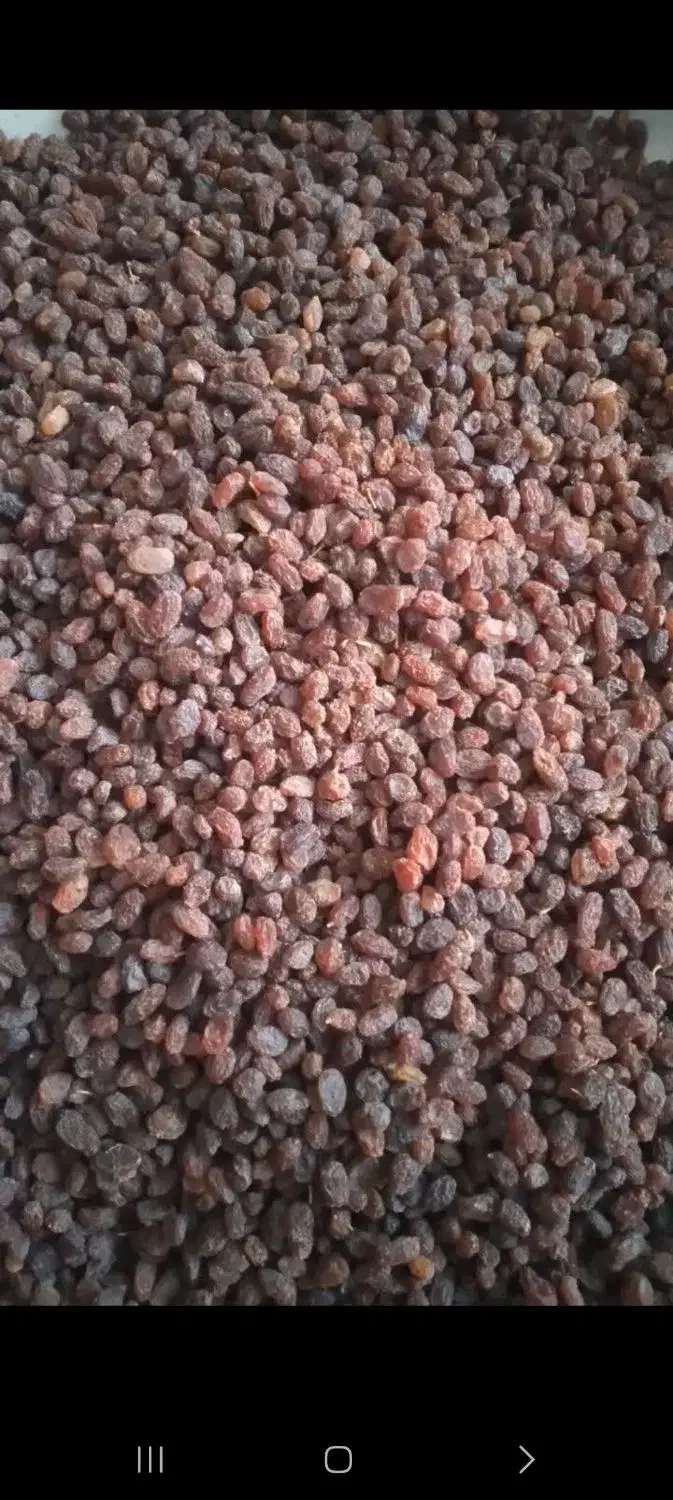 کشمش سبز وکشمش پلویی|خوردنی و آشامیدنی|اندیشه, اندیشه فاز ۳|دیوار