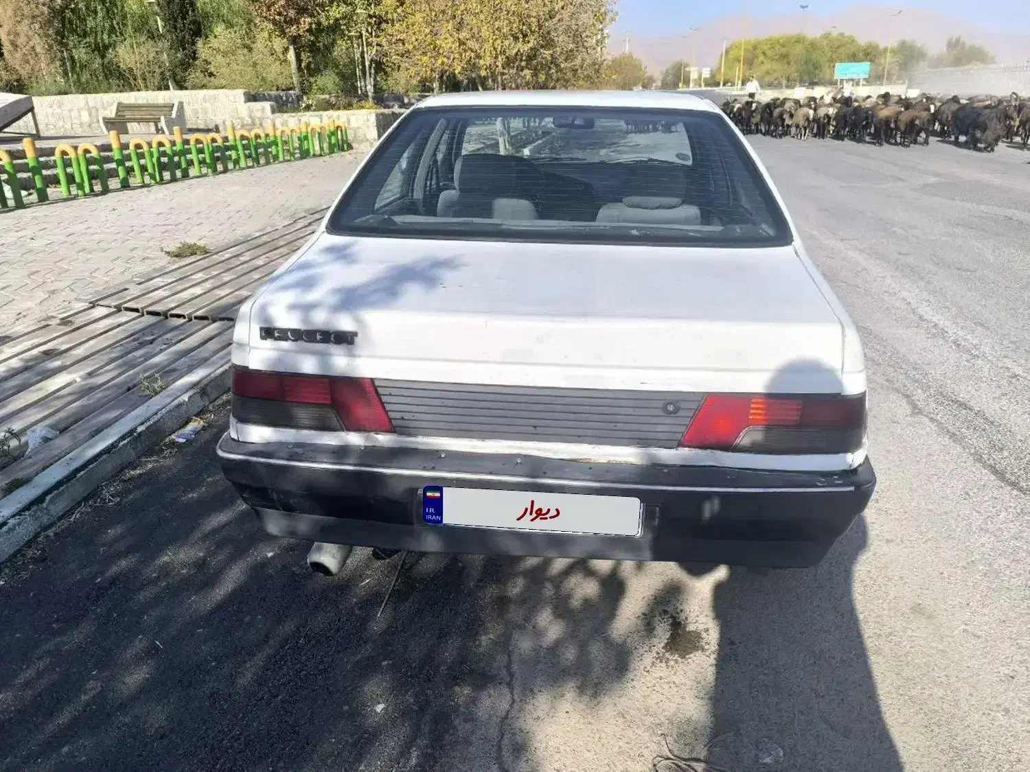 آردی مدل 84 دوگانه|خودرو سواری و وانت|مبارکه, |دیوار