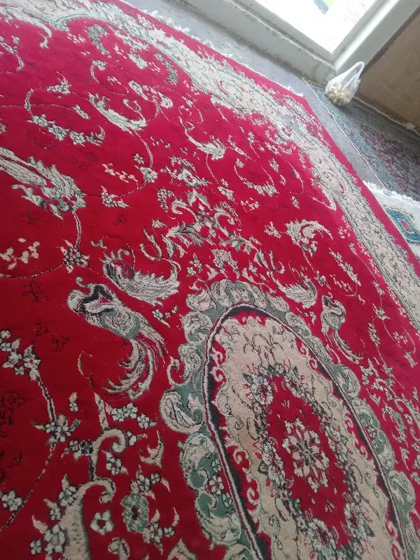 قالی|فرش|شیروان (خراسان), |دیوار