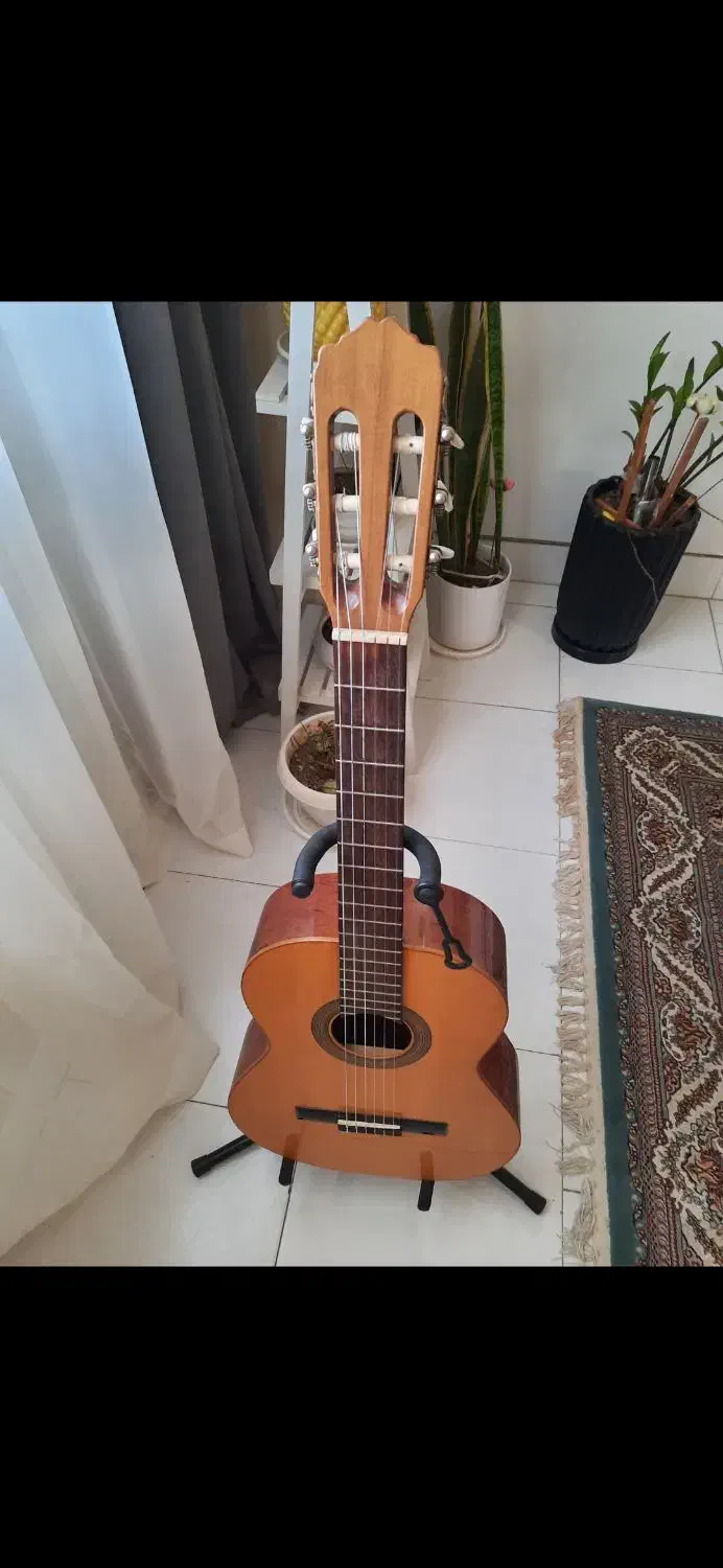 گیتار انتونیو سانچز s20|گیتار، بیس، امپلیفایر|هشتگرد, هشتگرد قدیم|دیوار