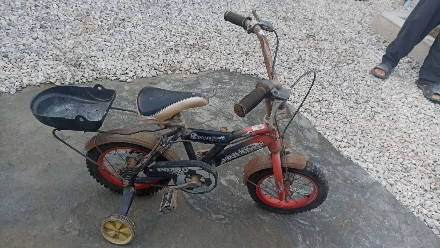 دوچرخه بچگانه|دوچرخه، اسکیت، اسکوتر|سرخرود, |دیوار