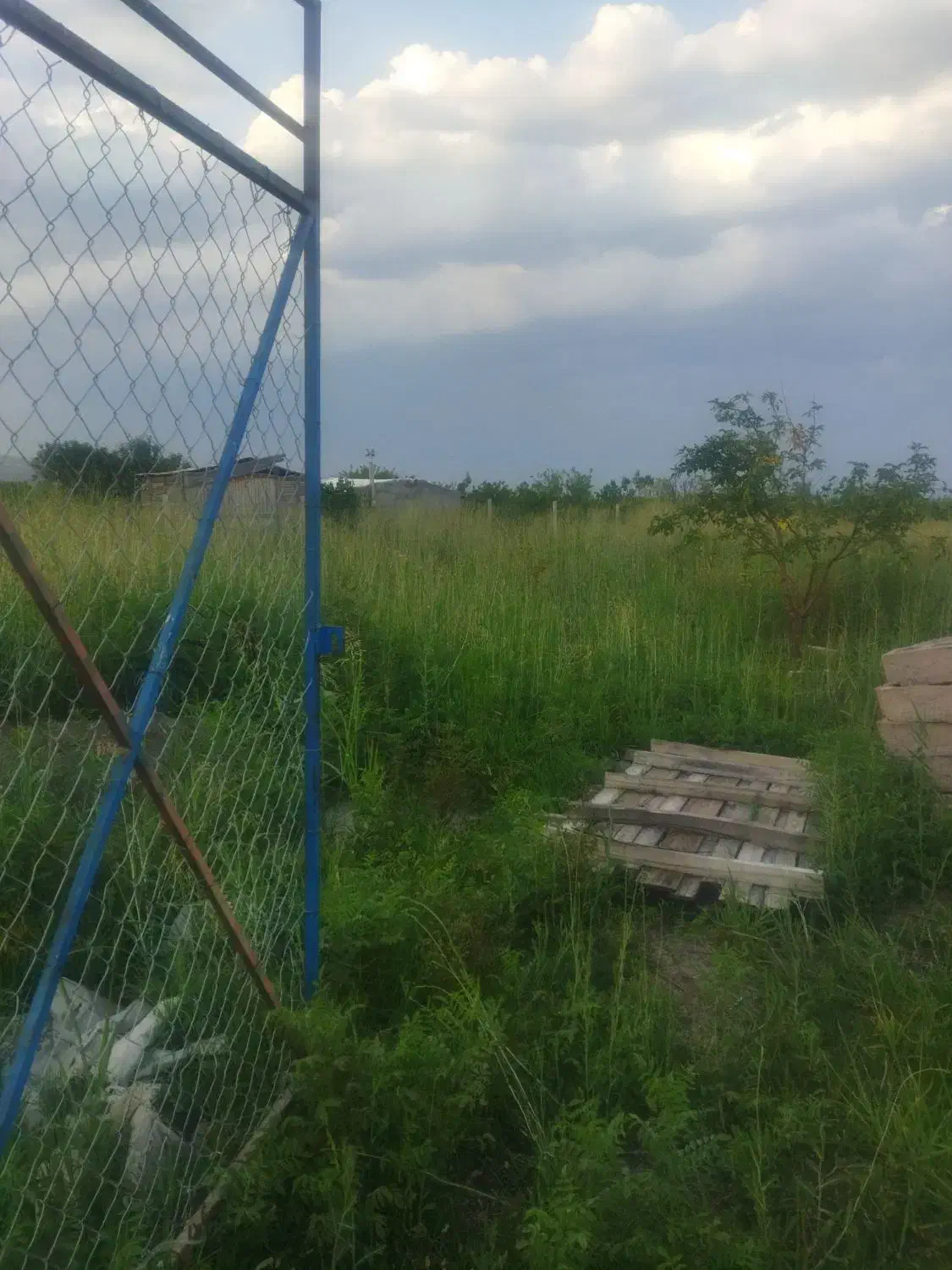 زمین کشاورزی|فروش دفتر صنعتی، کشاورزی، تجاری|شوط, |دیوار