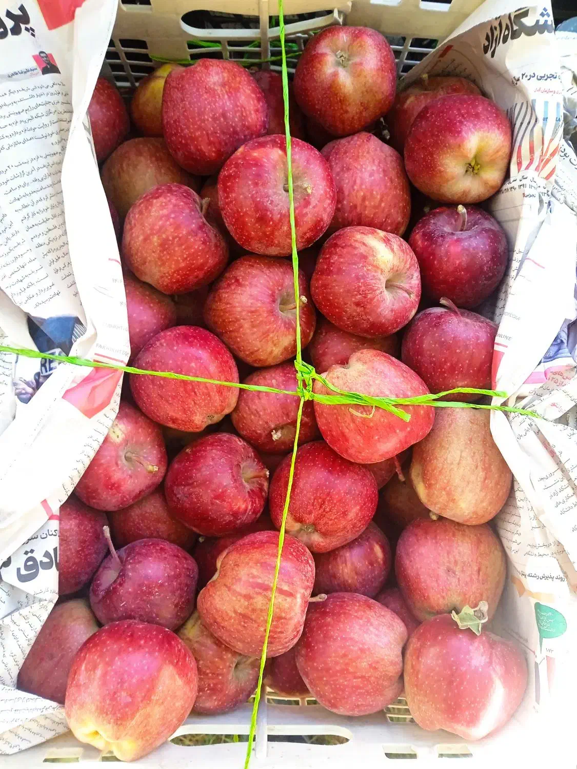 سیب|خوردنی و آشامیدنی|اسکو, |دیوار