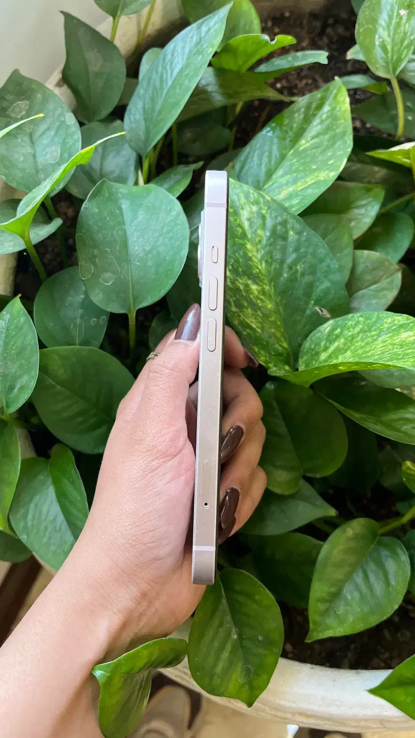 ایفون ۱۳ نرمال (۲۵۶گیگ)|موبایل|حمیدیا, |دیوار