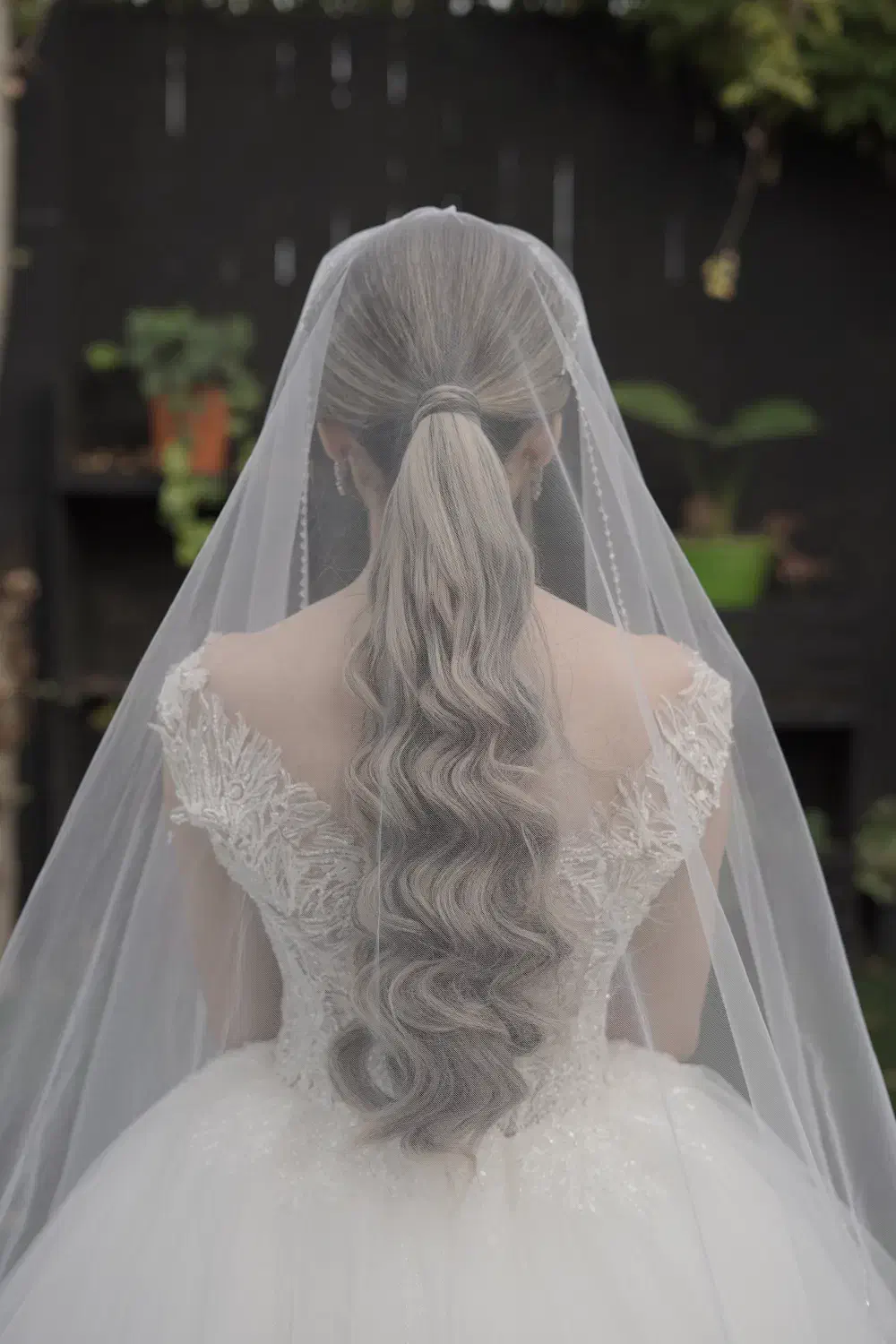 لباس عروس|لباس|بابل, |دیوار