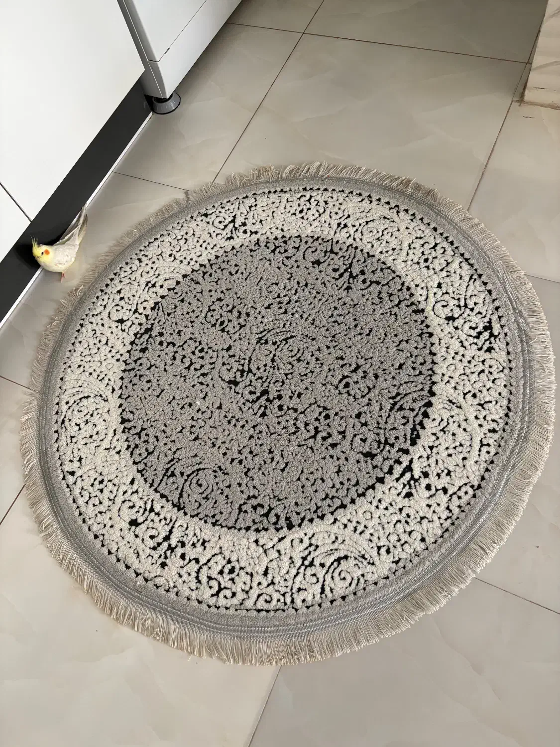 فرش|فرش|شیراز, شهرک مدرس|دیوار