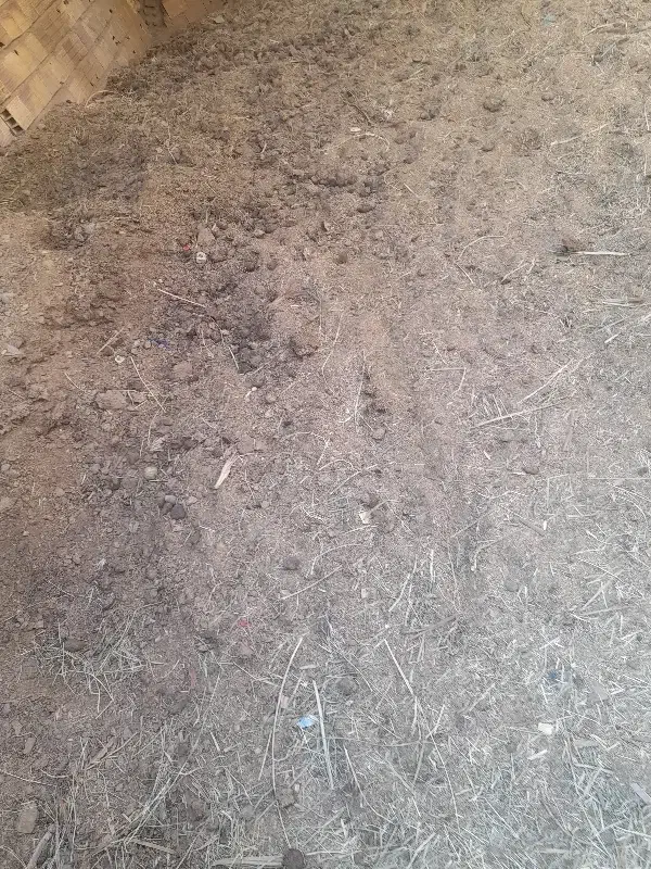 کودحیوانی اسب|گل و گیاه طبیعی|نرماشیر, |دیوار