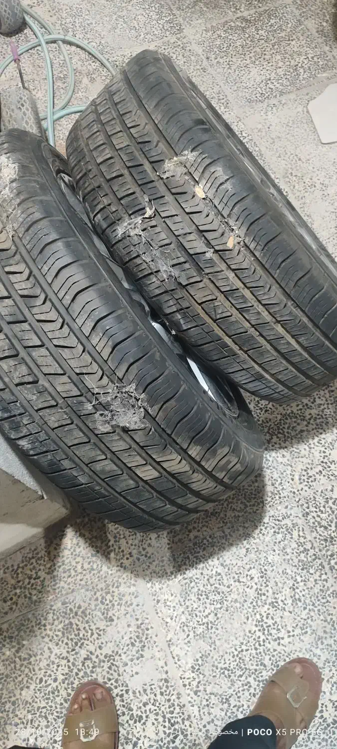 رینگ واللاستیک|قطعات یدکی و لوازم جانبی|بندرلنگه, |دیوار