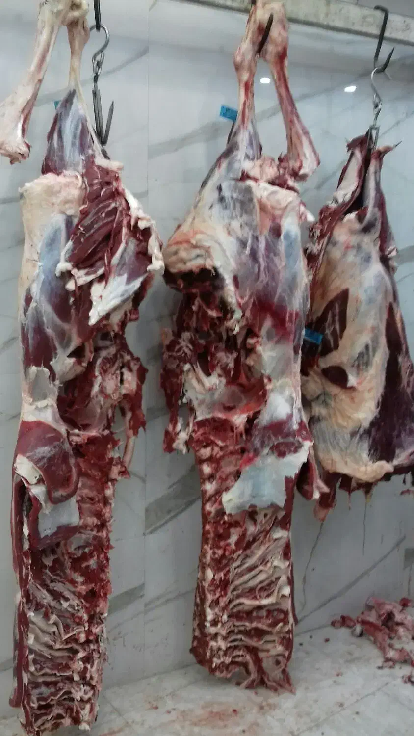 سلاخ حرفه ای قصاب|خدمات پذیرایی، مراسم|ملایر, |دیوار