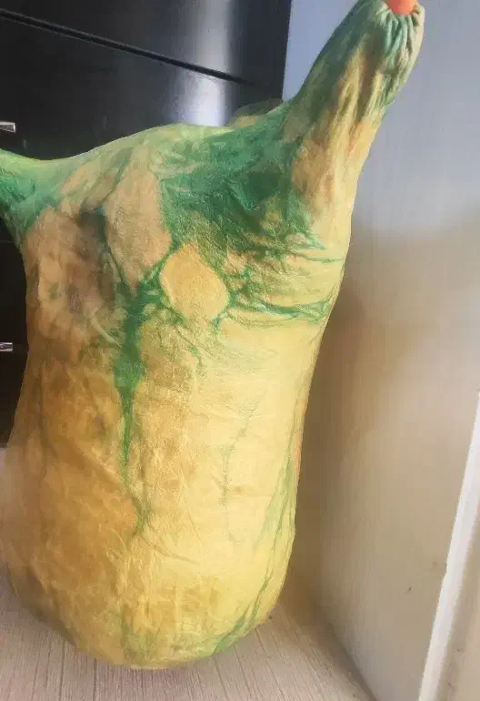 نی انبان (هَمونه) نو نو|سازهای بادی|مبارکه, |دیوار