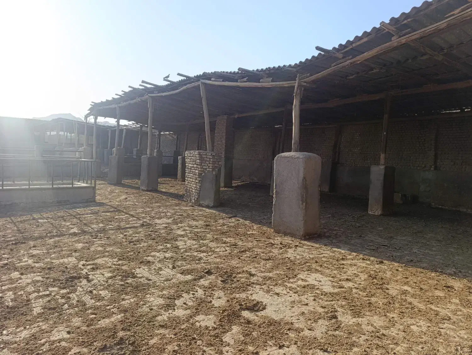 زمین تپه سلام سوله برای گاوداری مرغ داری انباری|فروش دفتر صنعتی، کشاورزی، تجاری|رضویه, |دیوار