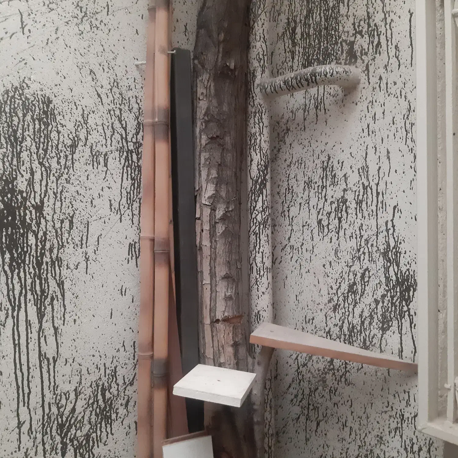 تنه درخت|صنایع دستی و سایر لوازم تزئینی|تهران, مختاری|دیوار