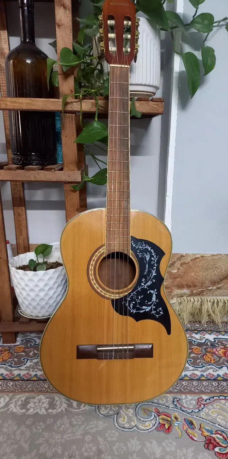 گیتار سانتانا|گیتار، بیس، امپلیفایر|بجنورد, |دیوار