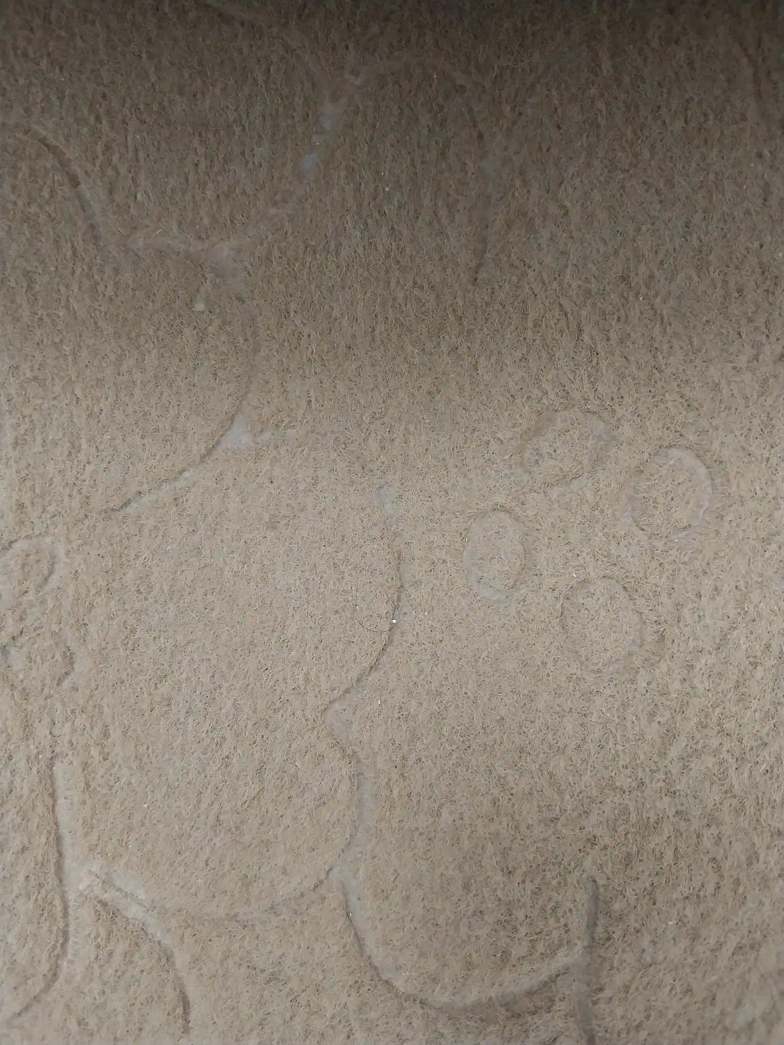 فروش موکت|موکت|جهرم, |دیوار