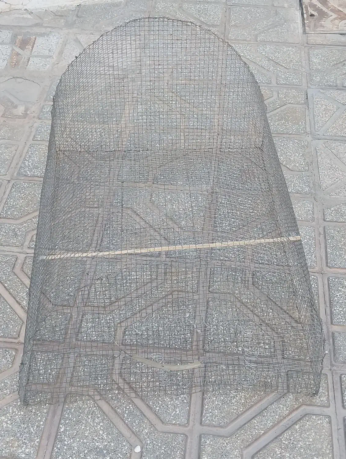 قفس|لوازم جانبی حیوانات|مشهد, ابرغن|دیوار