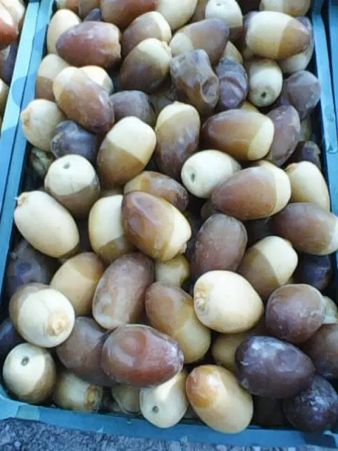 رطب|خوردنی و آشامیدنی|اصفهان, عباس‌آباد|دیوار