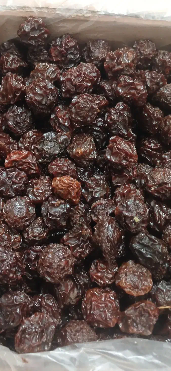 الو خشک محلی|خوردنی و آشامیدنی|تهران, شادمان|دیوار