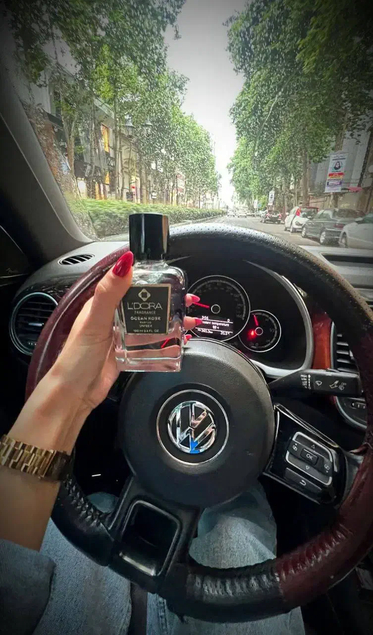 کالای بهداشتی نو|آرایشی، بهداشتی، درمانی|رشت, دیلمان|دیوار