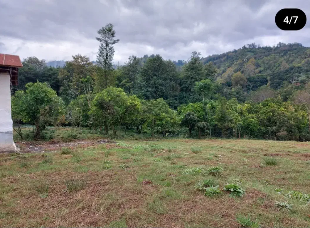 زمین کوهپایه در دل طبیعت|فروش زمین و ملک کلنگی|واجارگاه, |دیوار