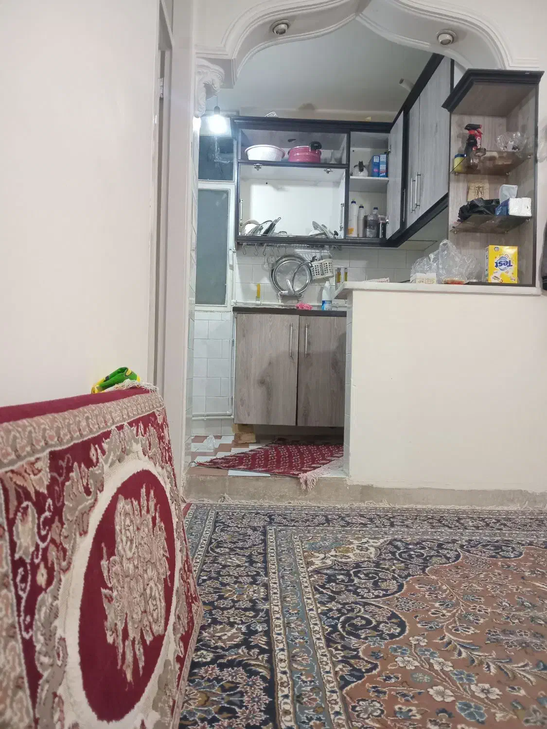 همخانه، همخونه.|اجارهٔ آپارتمان|زنجان, |دیوار