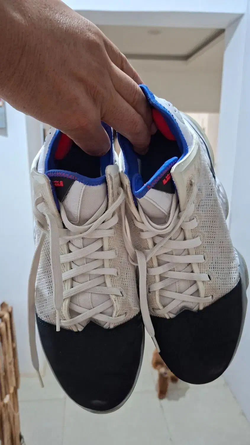 کتونی نایکی|کیف، کفش، کمربند|بندرعباس, |دیوار