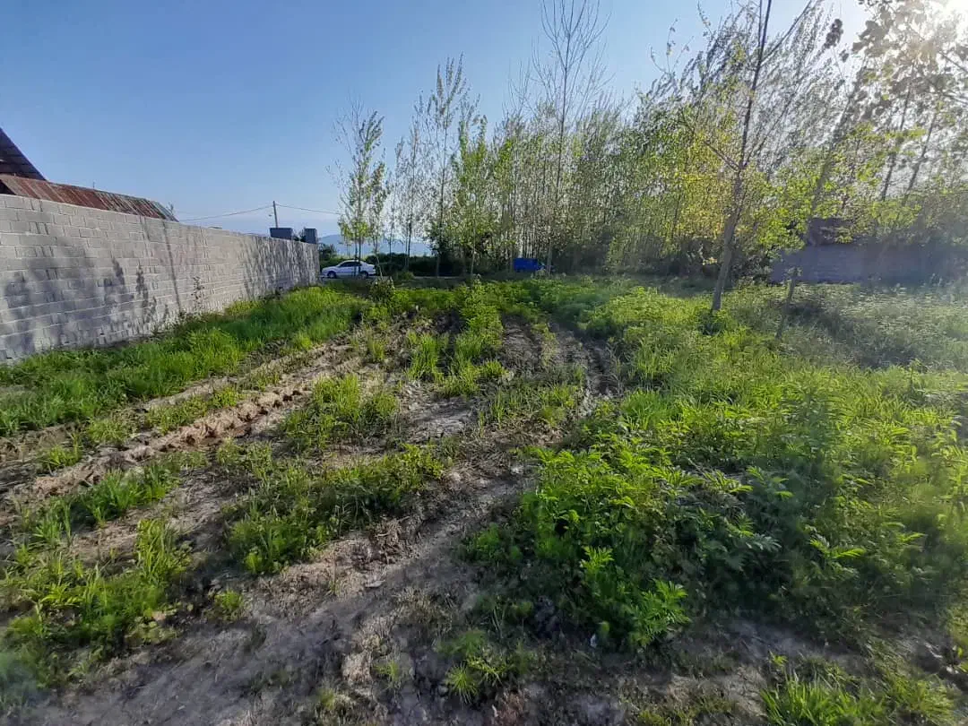 زمین مسکونی داخل بافت آماده ساخت|فروش زمین و ملک کلنگی|هشتگرد, گلسار|دیوار