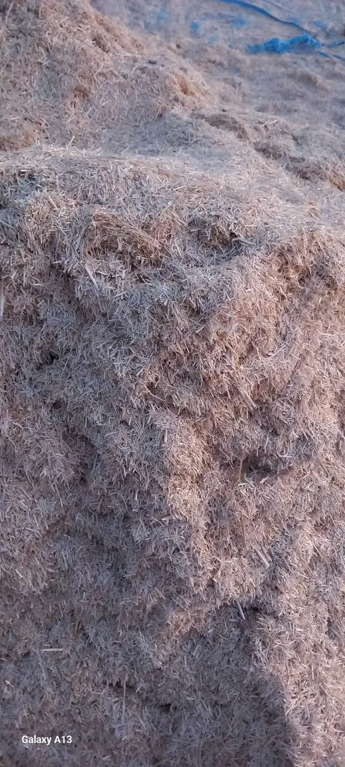 کاه|حیوانات مزرعه|تربت جام, میان جام|دیوار