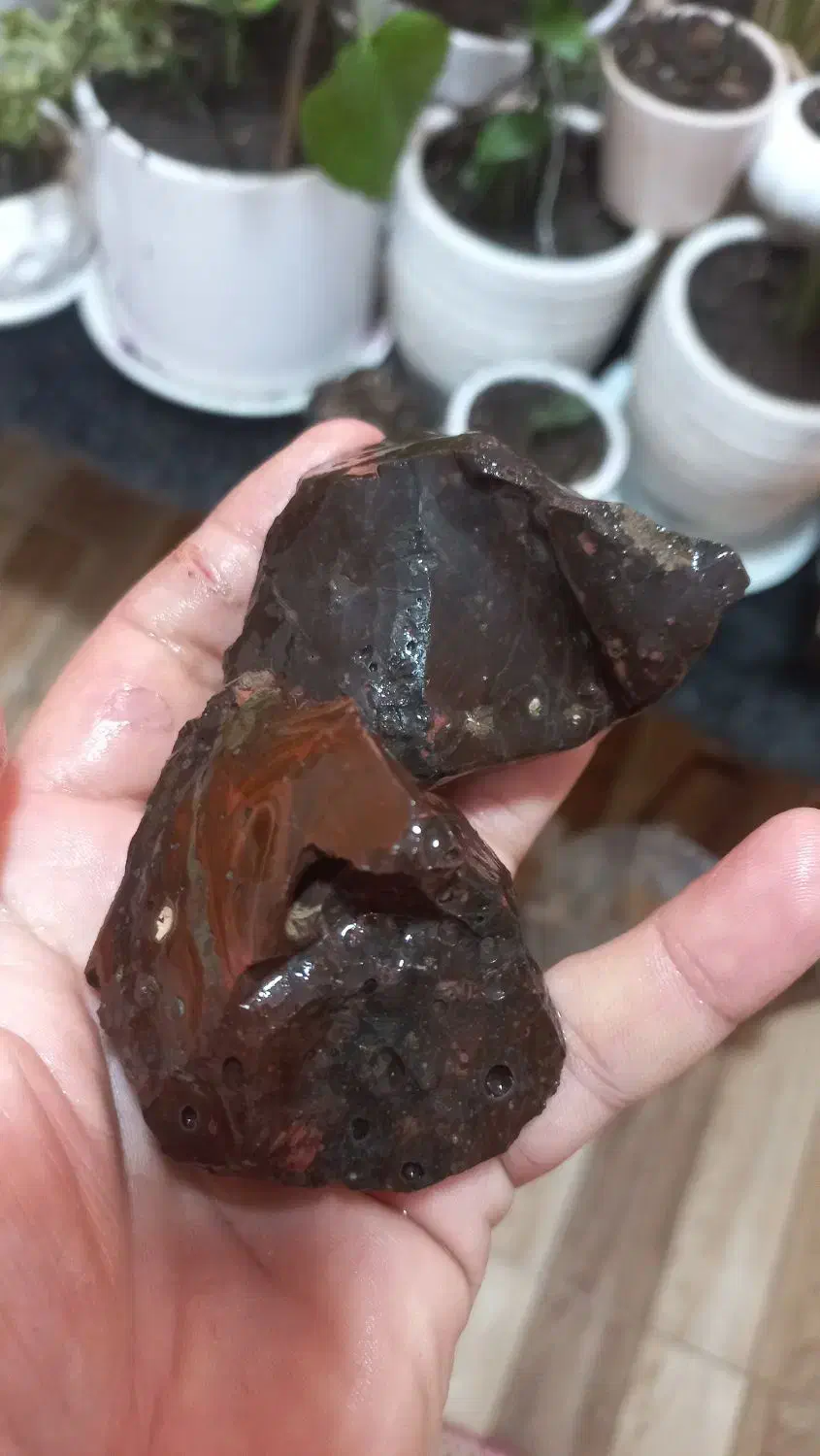 برای فروش.سکه و سنگ ...|کلکسیون اشیاء عتیقه|گنبد کاووس, |دیوار