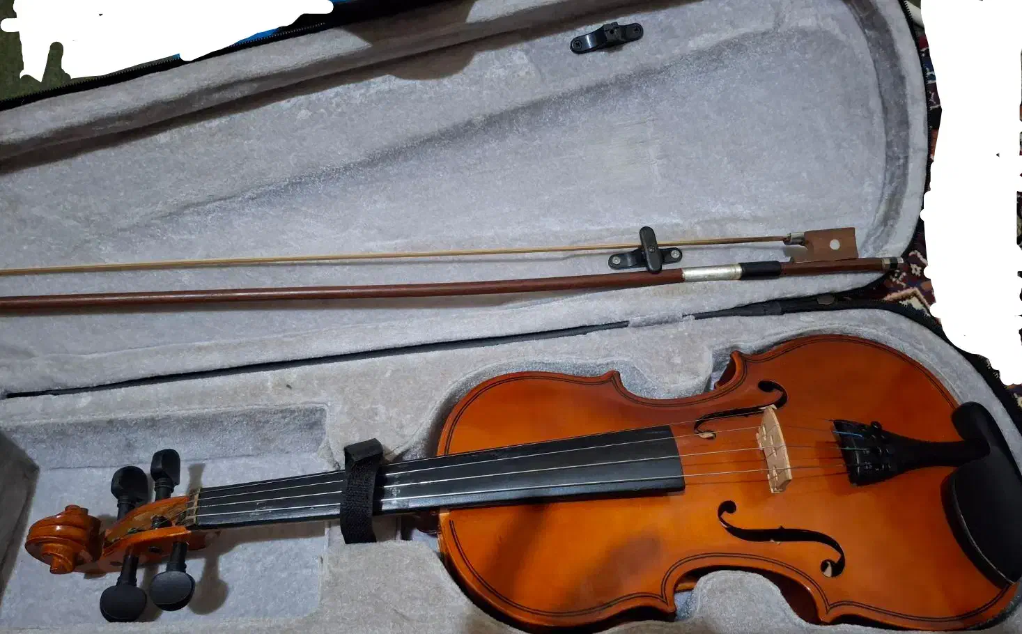 ویولون حرفه ای دست ساز|ویولن|اردبیل, |دیوار