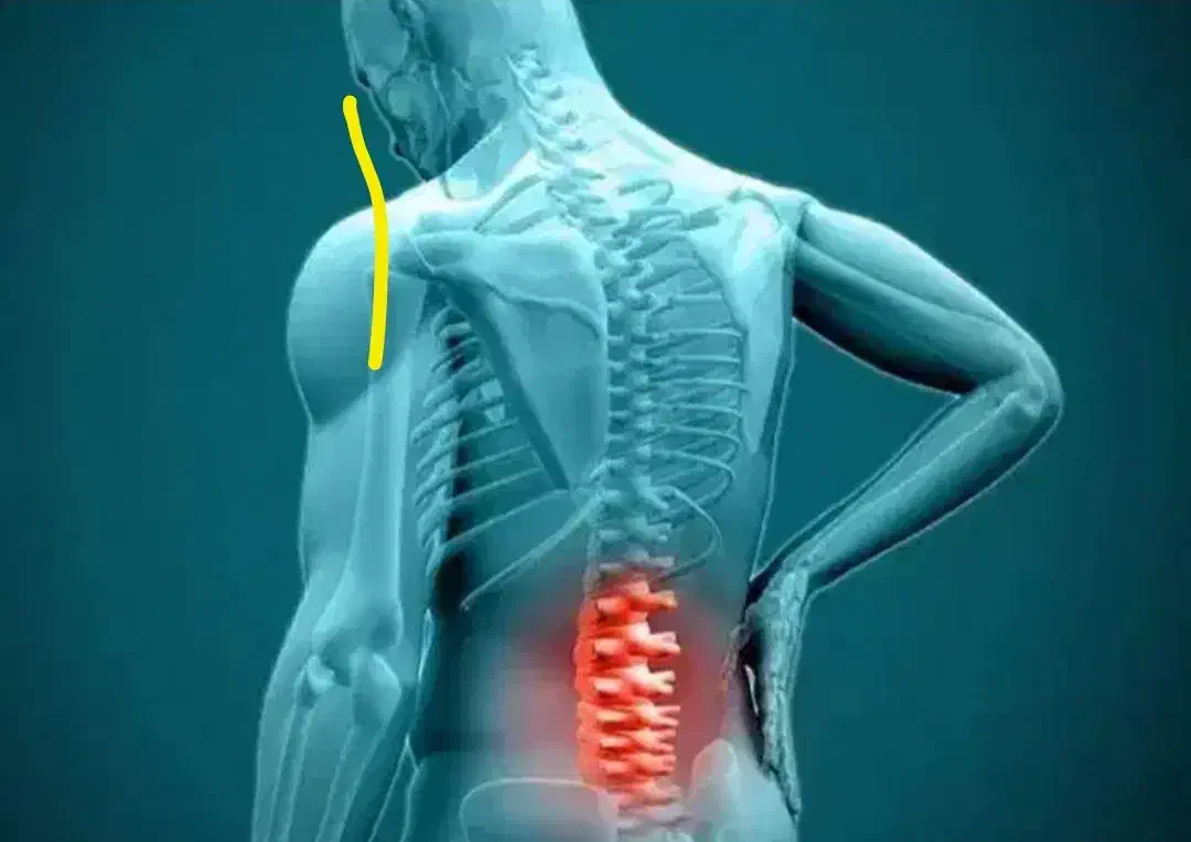 راهنمایی میخواستم|فعالیت داوطلبانه|تهران, مهرآباد جنوبی|دیوار