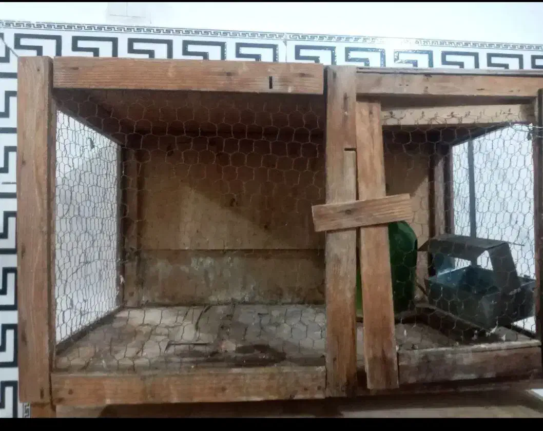 جفت کن کبوتر|لوازم جانبی حیوانات|پاکدشت, شهرک امام رضا|دیوار