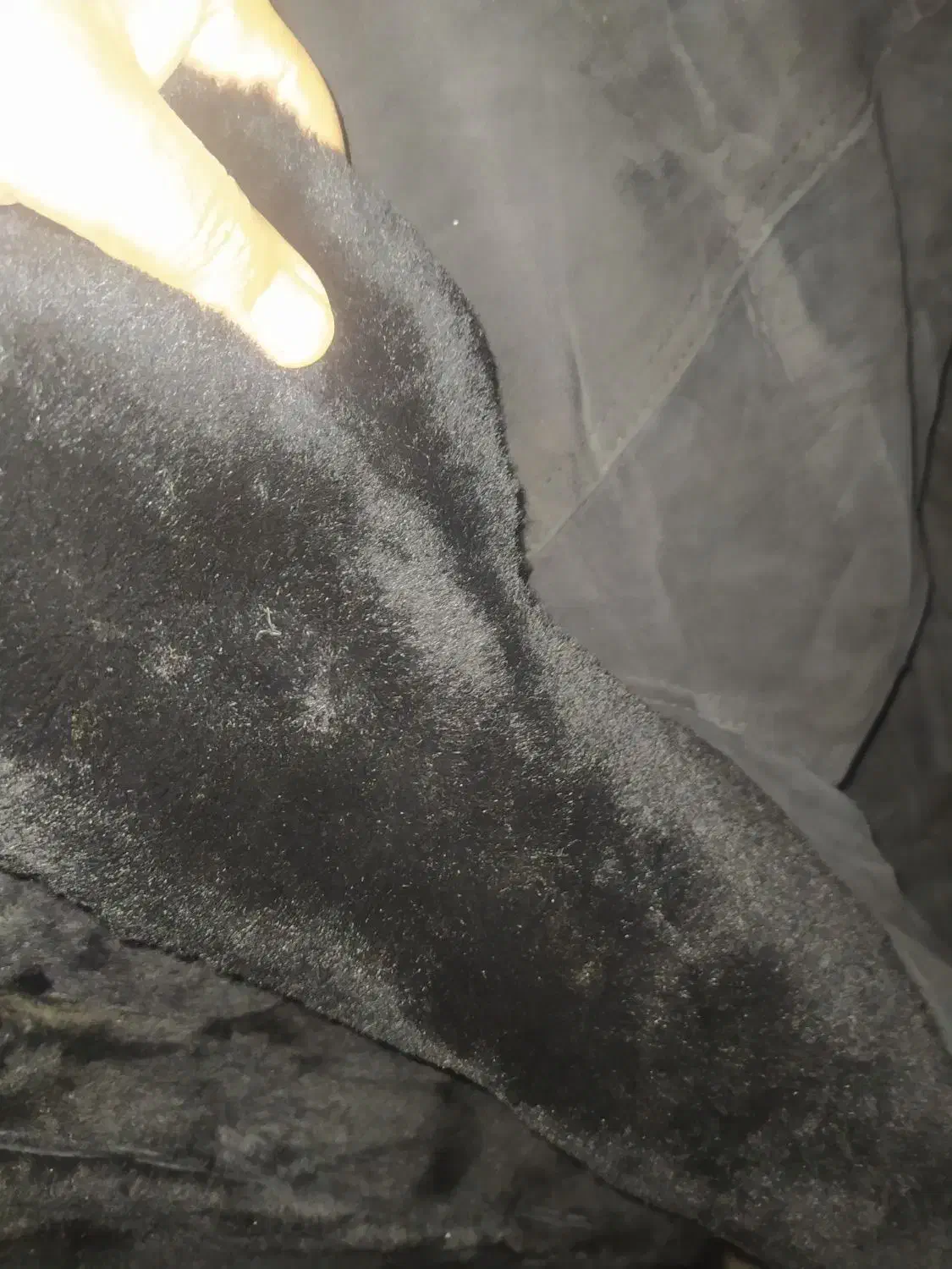 کابشن و پالتو پوست (بوفالو .آمریکایی اصل  )|لباس|تهران, دکتر هوشیار|دیوار