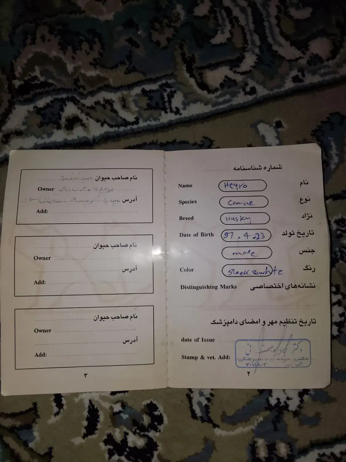 واگذاری توافقی|سگ|نورآباد ممسنی, |دیوار