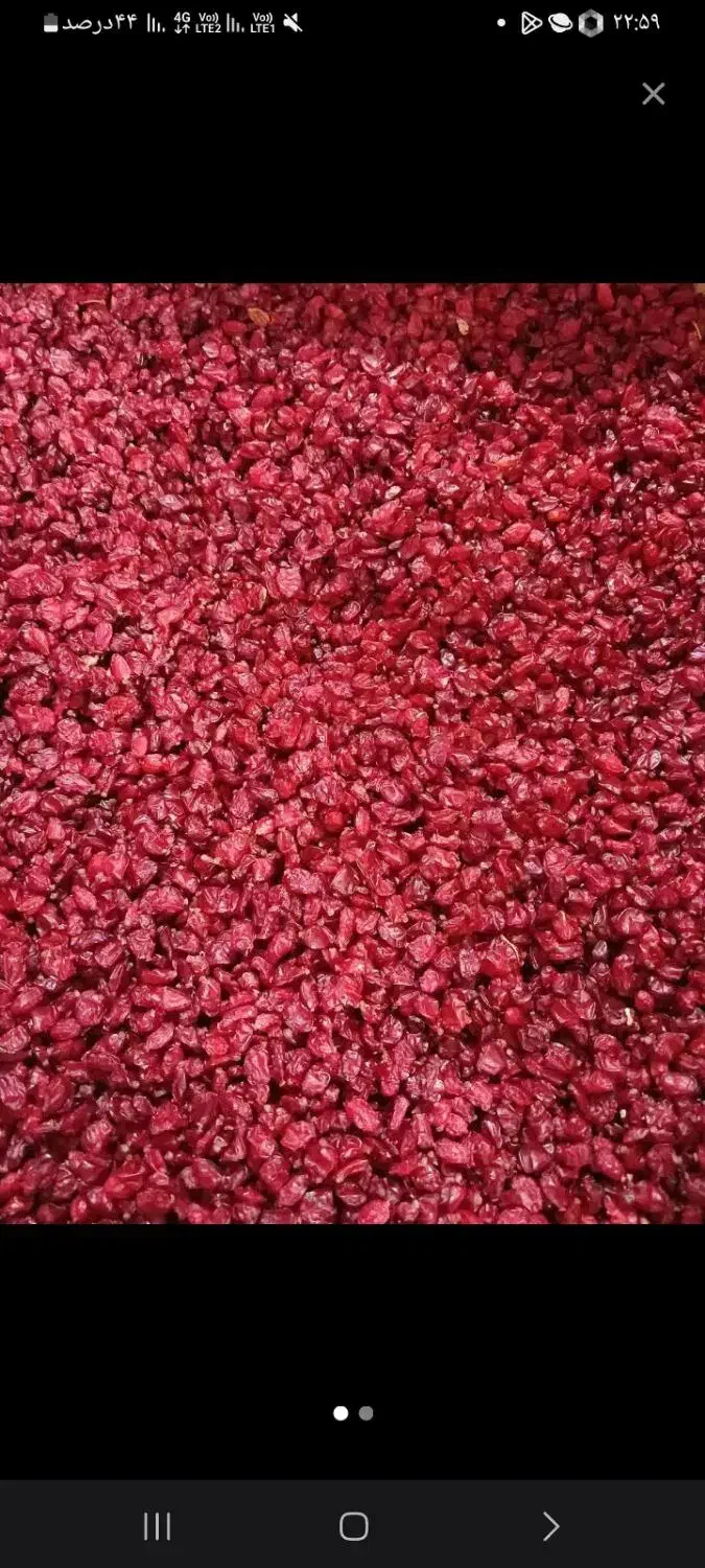 زرشک خشک قاینات|خوردنی و آشامیدنی|مشهد, گرجی علیا|دیوار