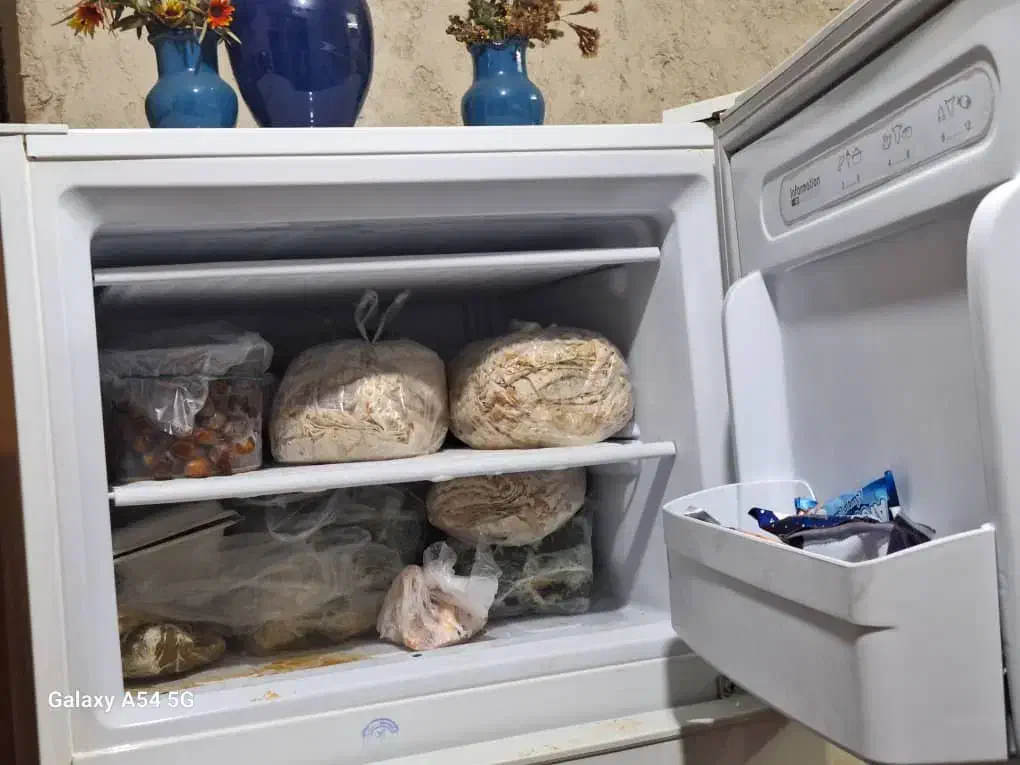 فروش یخچال|یخچال و فریزر|برازجان, |دیوار