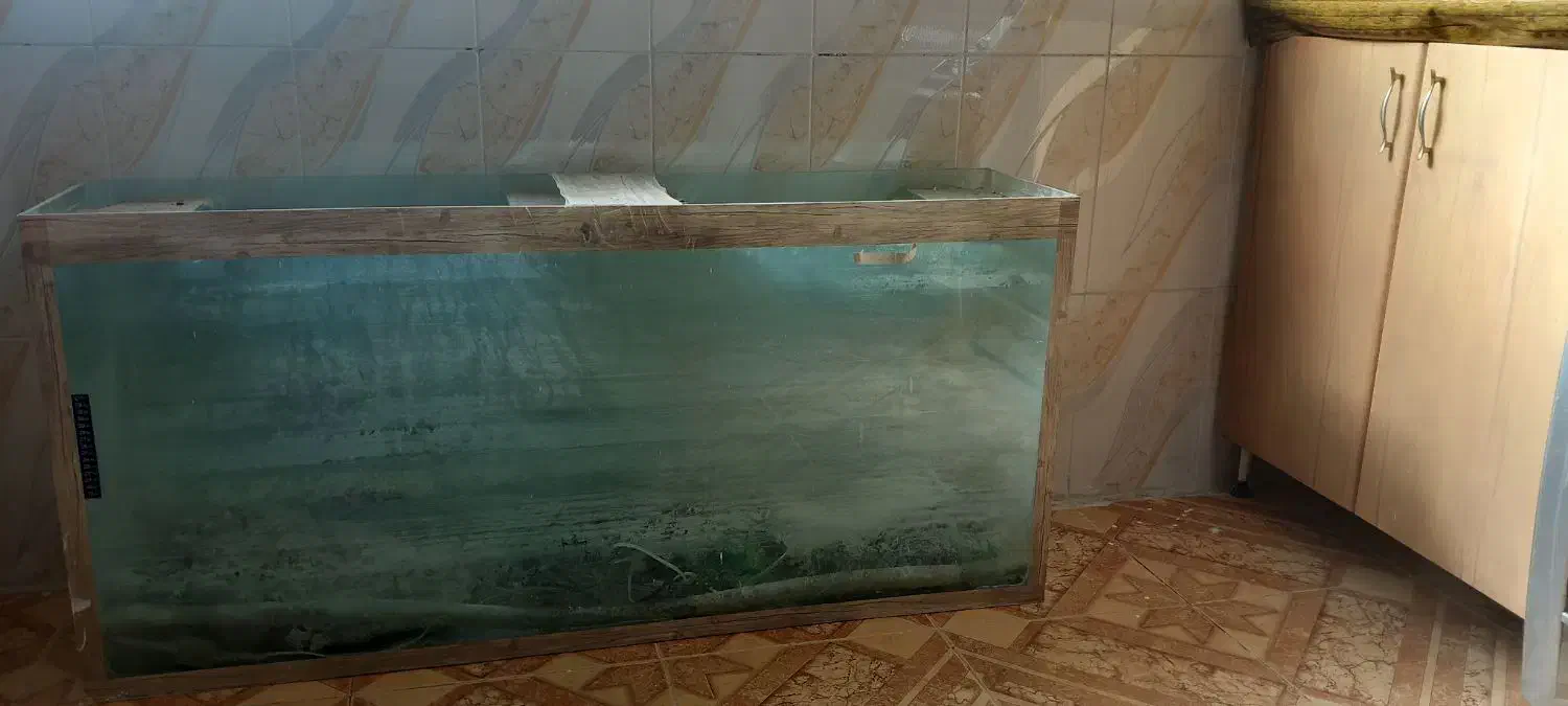 فروش آکواریوم ۱۵۰۰۰۰۰|ماهی|انابد, |دیوار